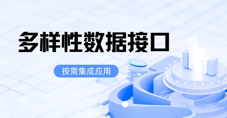 展示专业、稳定、高效的数据服务能力，主题'代码连接数据价值'，包含100+接口、文档清晰、快速集成等特性