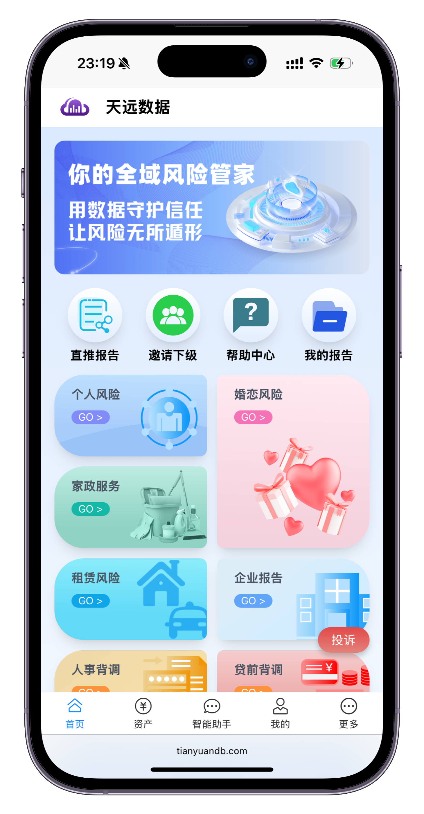 天远数据应用界面